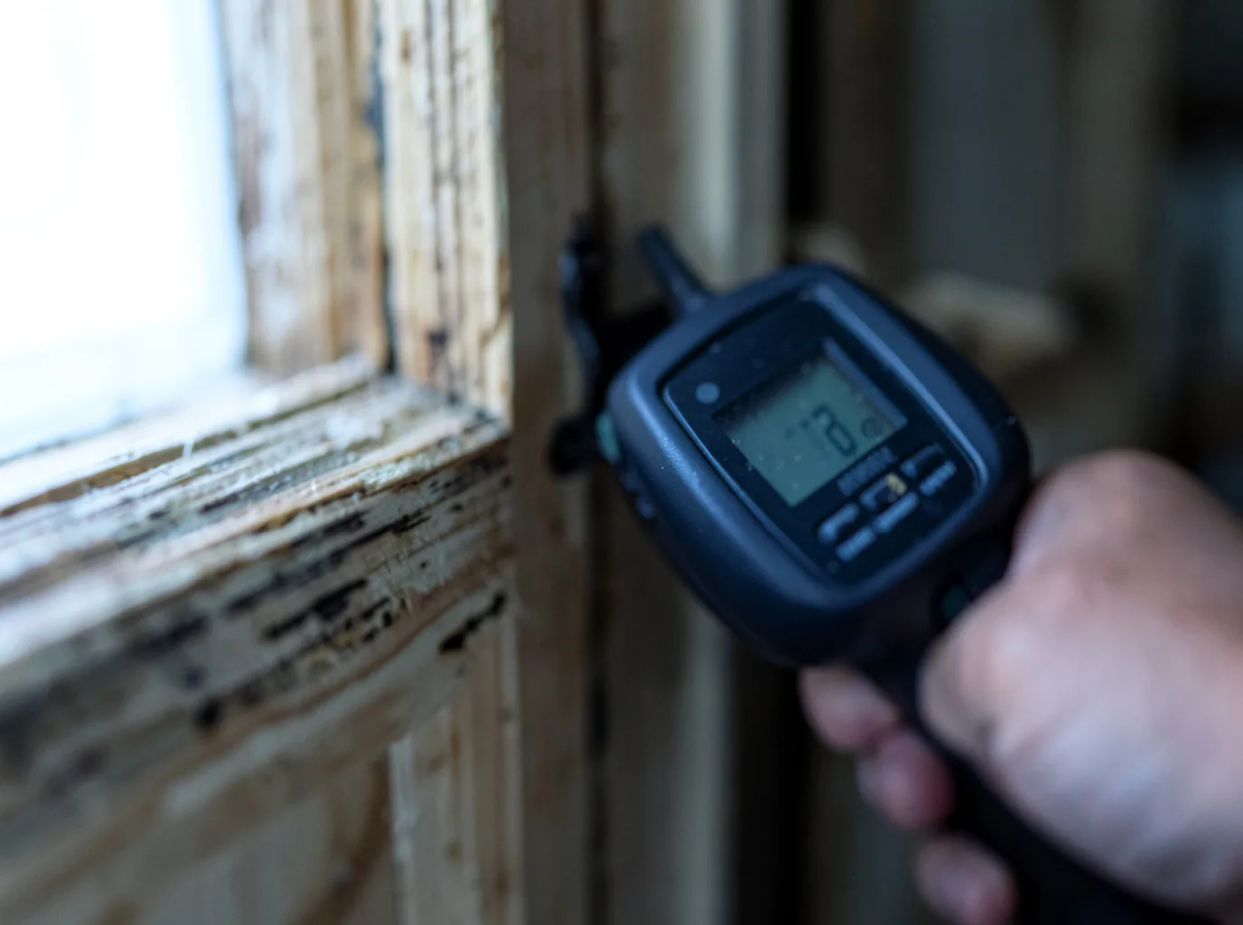 Moisture Inspection And Documentation in Axson, GA